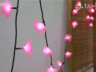 Dây đèn led Hoa Đào Hồng